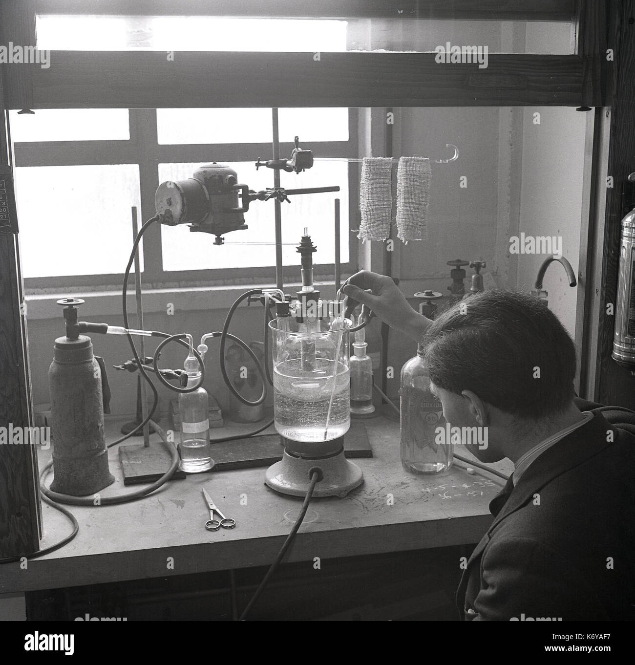 Degli anni Cinquanta, foto storiche che mostra un giovane laboratorio universitario ricercatore che lavora sui modi diverse sostanze chimiche influenzano le proprietà fisiche della fibra naturale di iuta, Università di Leeds, Leeds, Inghilterra, Regno Unito. Foto Stock