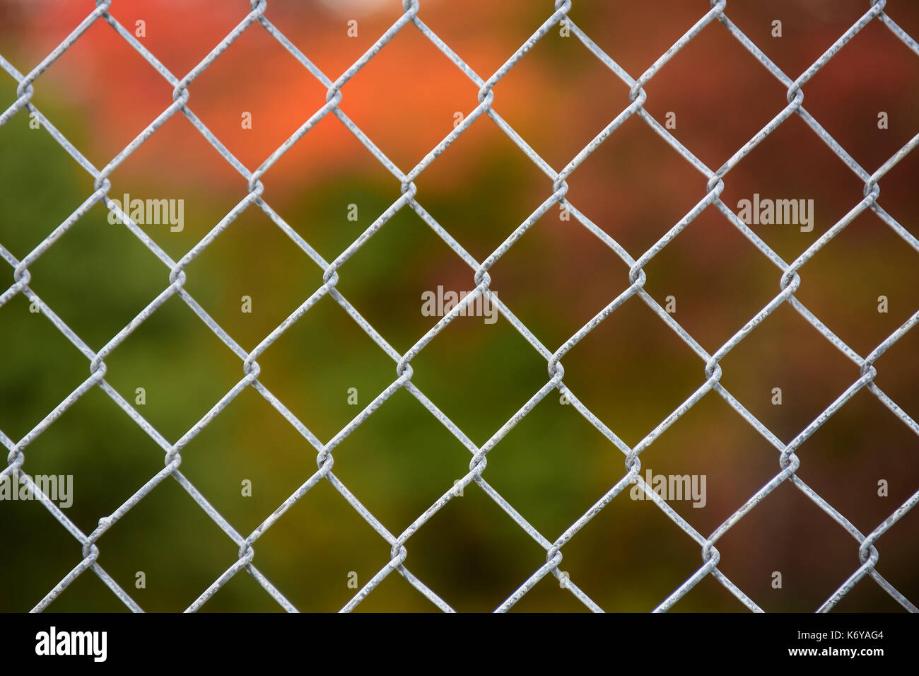 Messa a fuoco morbido fogliame di autunno colori dietro una catena collegamento recinto indicando il confinamento o l'esclusione dall'altro lato in speculatore, New York NY Foto Stock