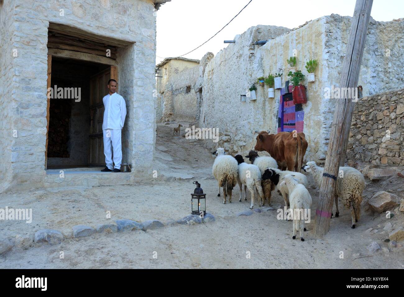 Il Marocco, Anti Atlas, regione Souss-Massa, Prefettura di Agadir, Ida-Outanane Azrarag Valley, Taghzoute village, Dar Ahlam, case da sogno, South Road, casa di Arganiers Foto Stock