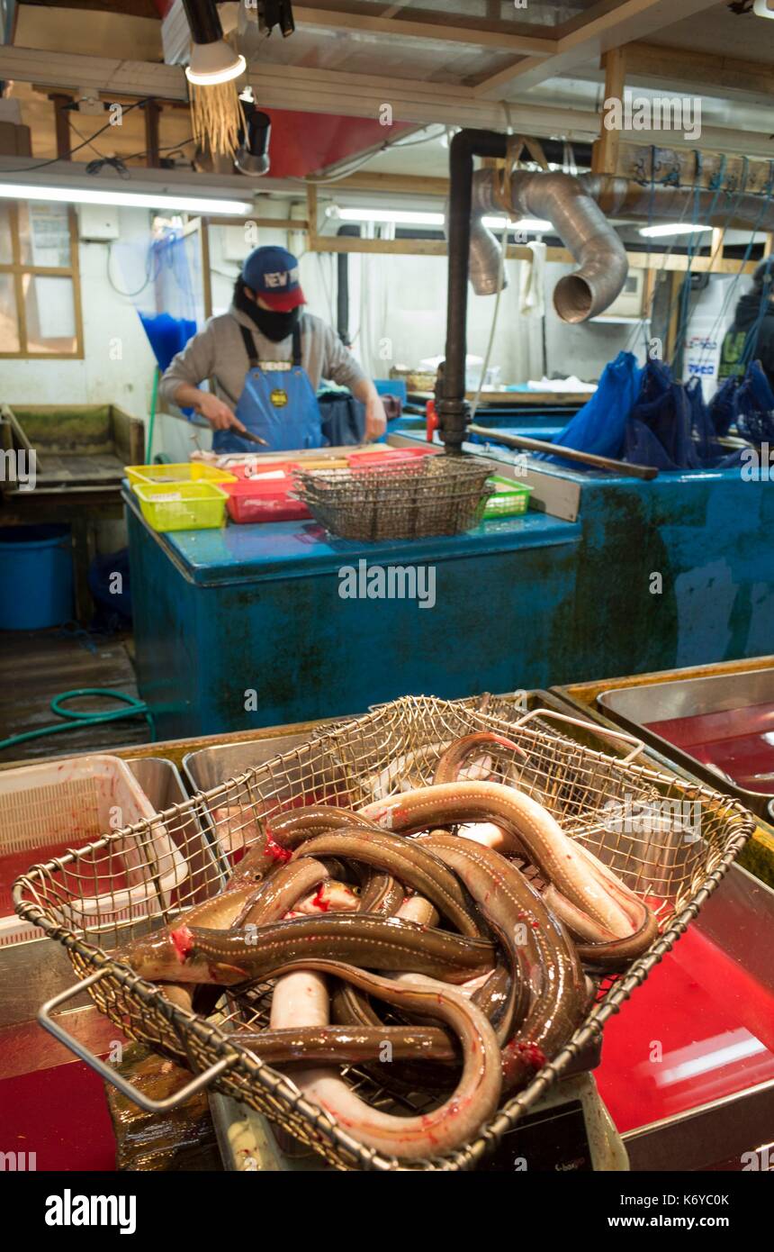 Giappone, Tokyo, il mercato del pesce di Tsukiji, la più grande del mondo al mercato del pesce con un multi miliardi di dollari di fatturato annuo, famoso per la sua asta di tonno Foto Stock