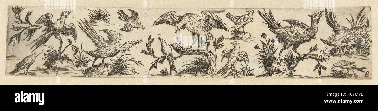 Fries incontrato elf vogels, in het midden staat een grote vogel op een tak Foto Stock