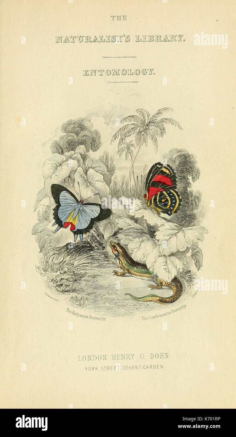 Farfalle straniere (Copertina) (6045541411) Foto Stock