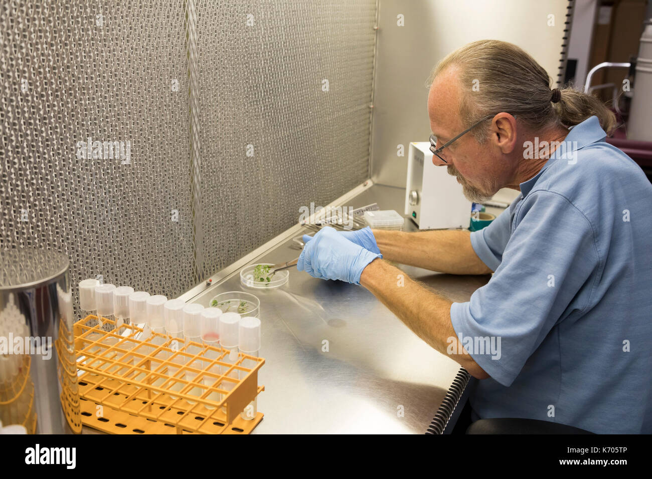 Fort Collins, Colorado - il laboratorio nazionale per le risorse genetiche di conservazione, una unità del dipartimento dell'agricoltura. Bradford hall, un veterinarians Foto Stock