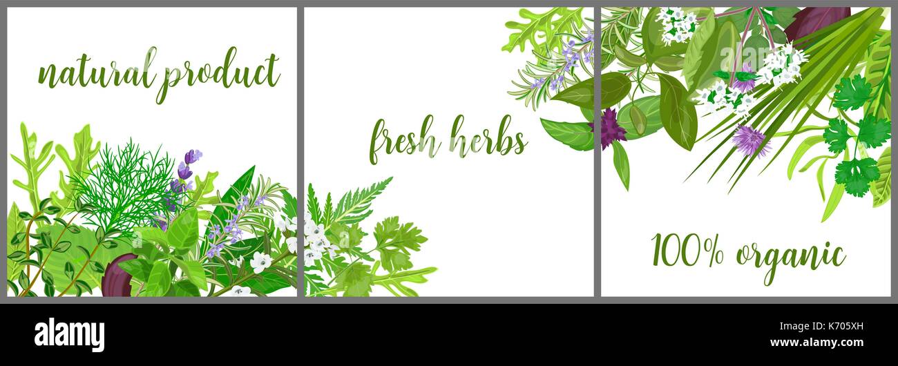 Ghirlanda fatta di realistica erbe e fiori con testo. le erbe aromatiche e le spezie shop logo. per la cura della salute, inviti, saluti, design, etichetta, banner, poster, pubblicità, carta, imballaggio, confezionamento, tag Illustrazione Vettoriale