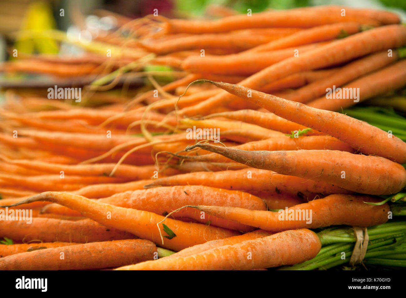 Mazzetti di carote arancione legato togethe con cime di verde in un mercato Foto Stock