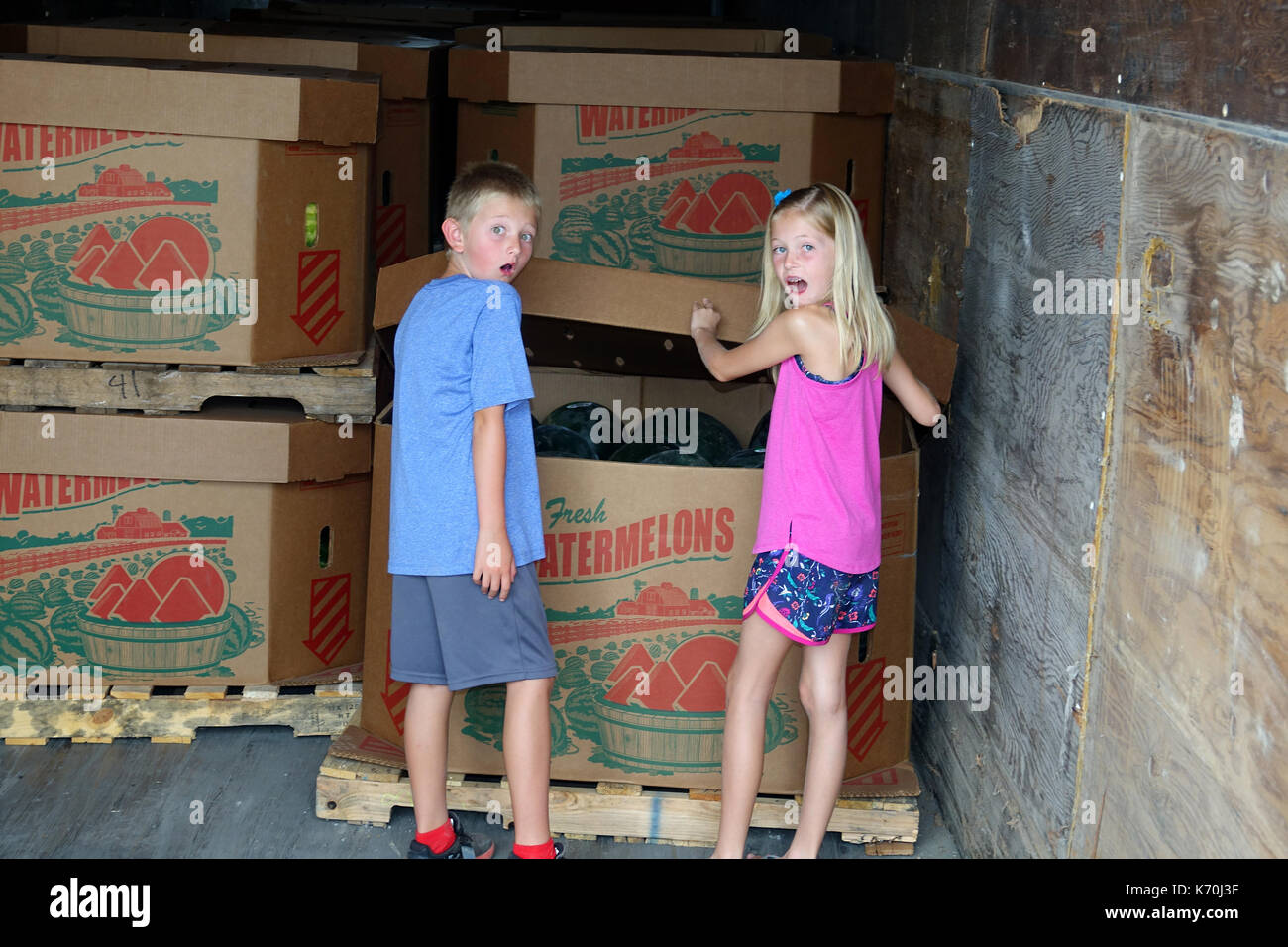 I bambini amano i cocomeri! Foto Stock