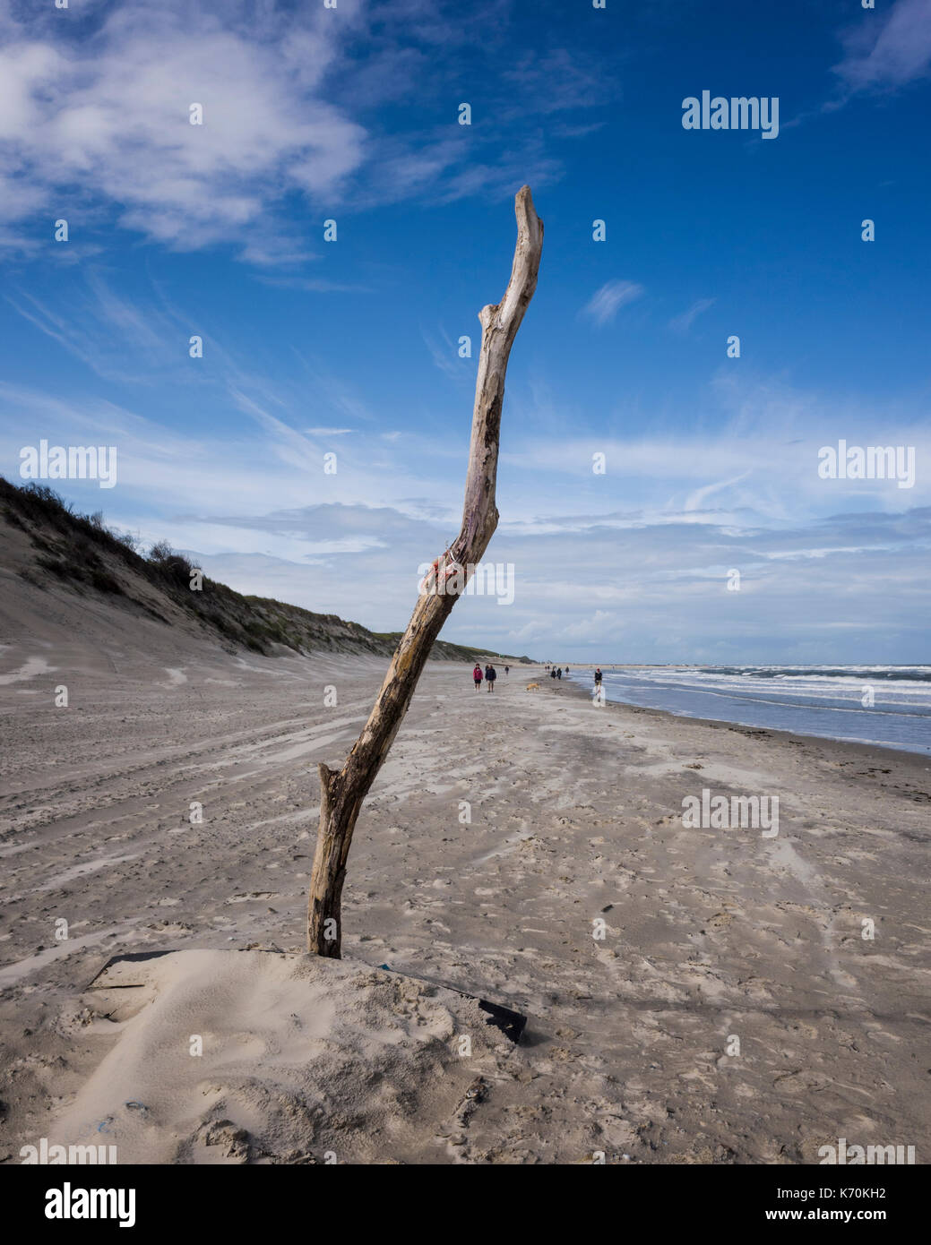 Am Strand, Langeoog. Deutschland. Germania. Un pezzo di driftwood, impostare nella sabbia, domina la spiaggia come turisti a piedi lungo la spiaggia approccio. Si tratta di un luminoso giorno di avvolgimento con alcuni in rapido movimento di nuvole nel cielo. Foto Stock
