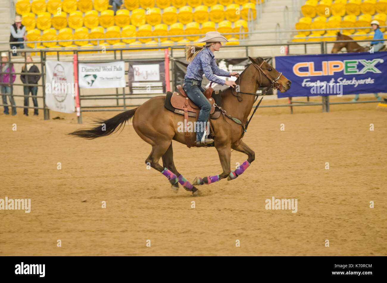 Cavallo sport, onorevoli finali nazionali Corsa della botte presso l'Australian cavalli e bestiame eventi centro (aelec) indoor arena,tamworth nsw australia,sett Foto Stock