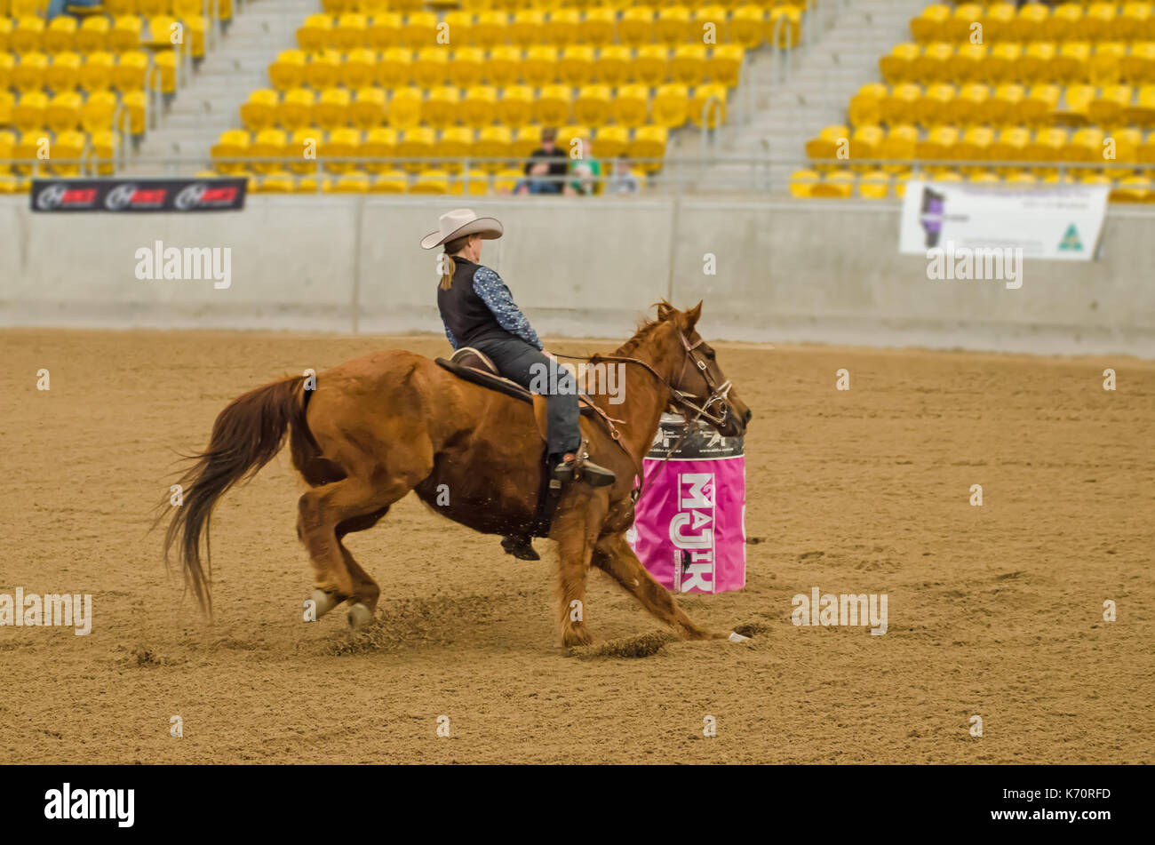 Cavallo sport, onorevoli finali nazionali Corsa della botte presso l'Australian cavalli e bestiame eventi centro (aelec) indoor arena,tamworth nsw australia,sett Foto Stock