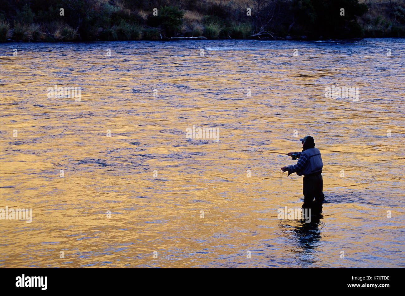 La Pesca di fiume Deschutes Deschutes, Wild & Scenic River, inferiore Deschutes National paese indietro Byway, Oregon Foto Stock
