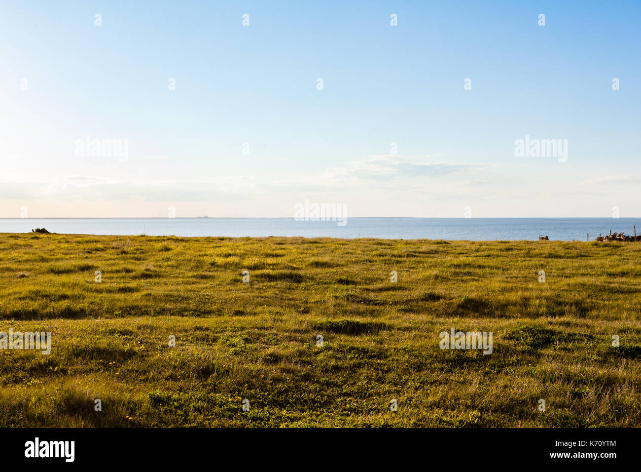 Erba verde, il blu del mare e del cielo strati orizzontali Foto Stock