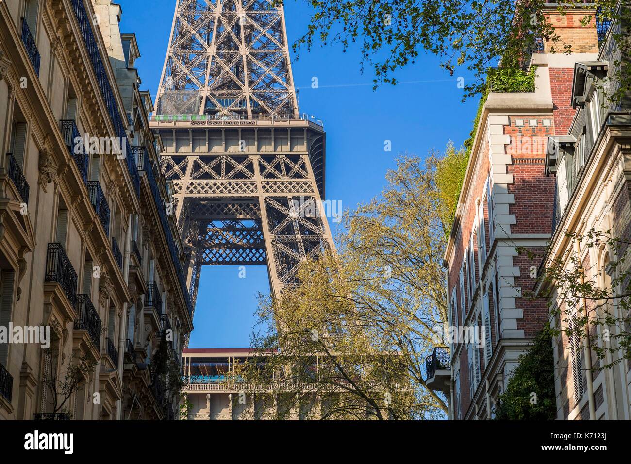 Francia, Parigi, la Torre Eiffel e gli edifici Parigini Foto Stock