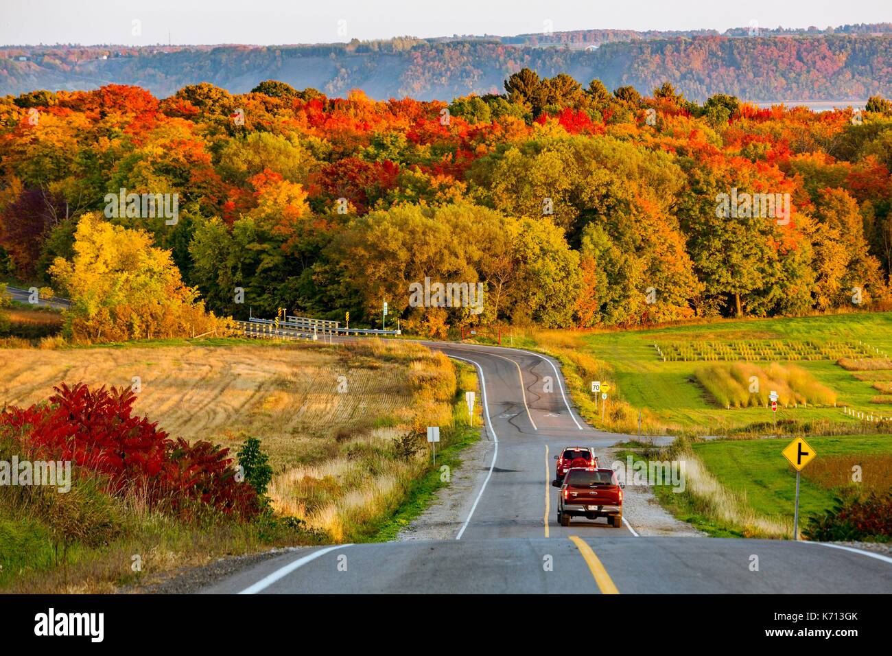 Canada Quebec, la Scenic Chemin du Roy, la regione Mauricie, una strada di campagna tra Neuvile e Saint Augustin de Desmaures, la caduta delle foglie Foto Stock