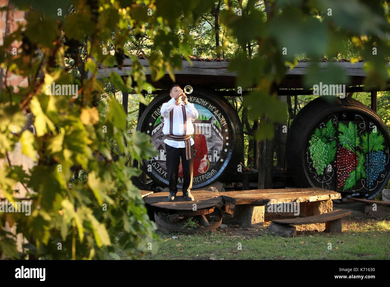 La Serbia, Rogljevo, Serbia grazie a due francesi uno dei vigneti più vecchi di Europa si ravviva con una quindicina di vecchi di secoli di tradizione. Nel XIX secolo il borgo di Rogljevo vino esportato in tutta l'Europa. Nel 1864 pagati in golden Napoleone questo vino serbo viene assegnato in mostre internazionali e veniva servita presso il castello di Versailles, poi più tardi il Titanic. La cantine Rogljevo costruita di pietra sono iscritti sulla lista di eccezionale storico e gli enti culturali di Serbia e sono stati presentati per la iscrizione sul Patrimonio Mondiale UNESCO Foto Stock