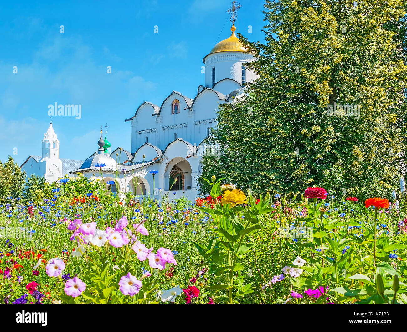 La vecchia cattedrale di intercessione monastero con i colori dei fiori selvatici in primo piano, Suzdal, Russia. Foto Stock