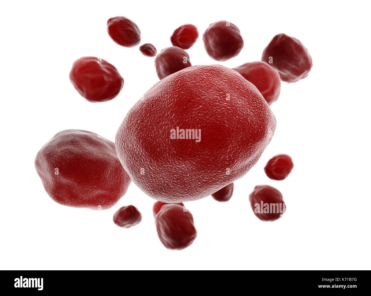 Rosso Sangue anomale cellule isolate su sfondo bianco Foto Stock