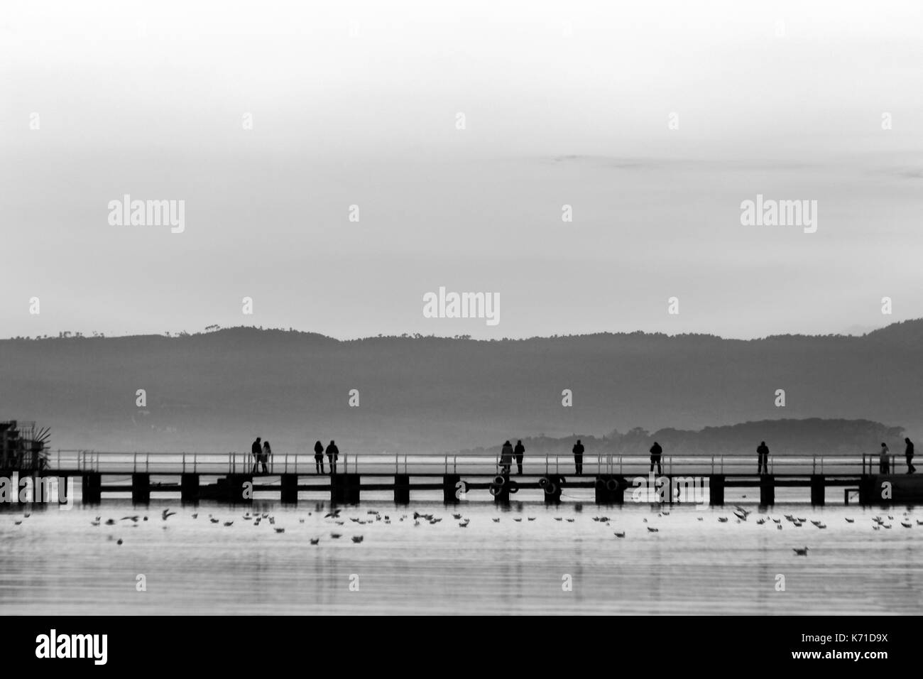 Un molo su un lago con diverse persone su di esso, e molti uccelli sull'acqua Foto Stock