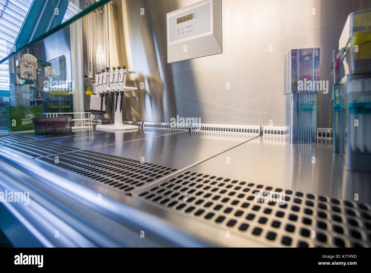 Il lavoro di laboratorio in corrispondenza di un vuoto banca steril. suddivisione di cella di lavoro. Foto Stock