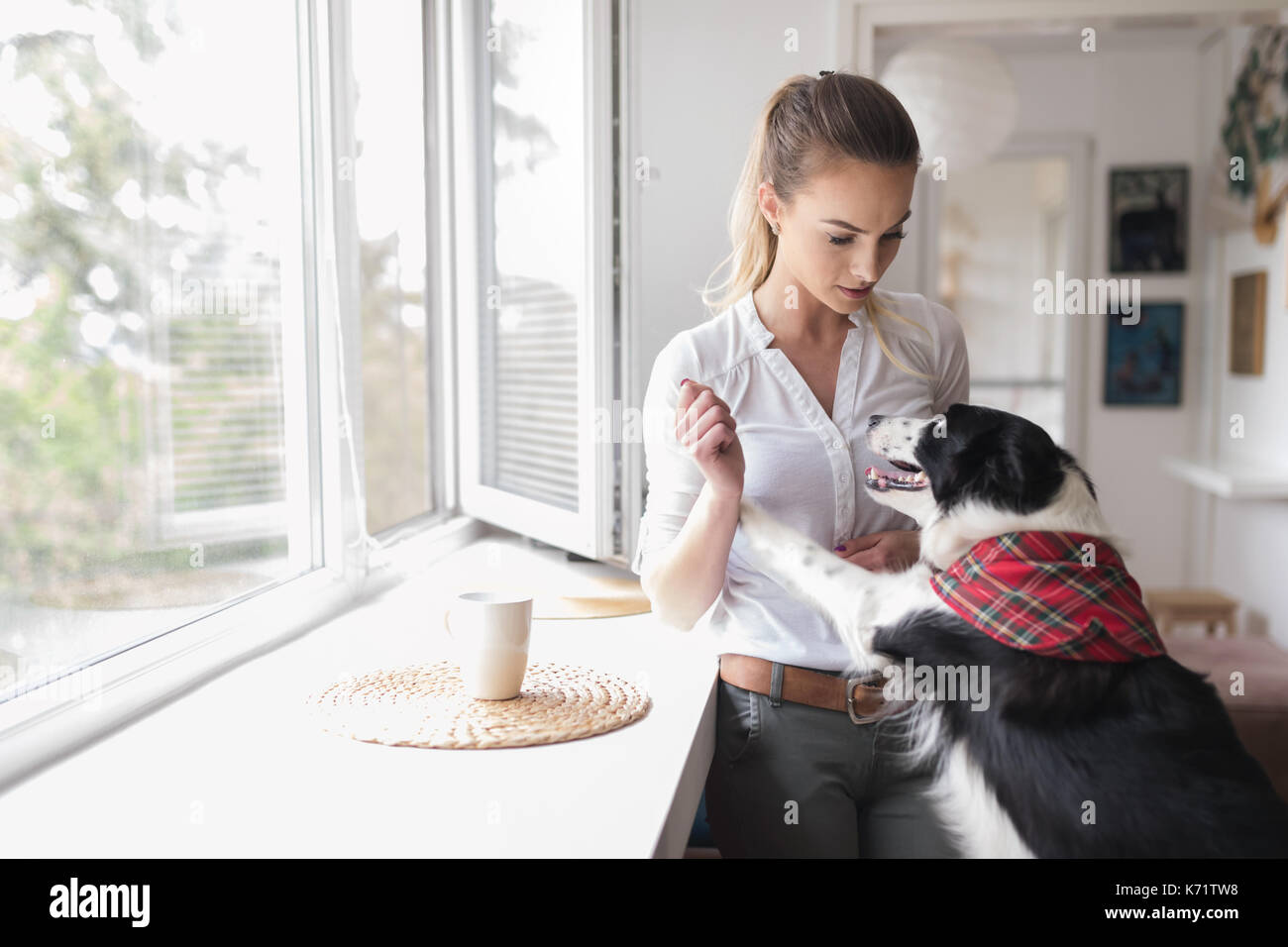 Bella donna a giocare a casa con il suo Happy dog Foto Stock