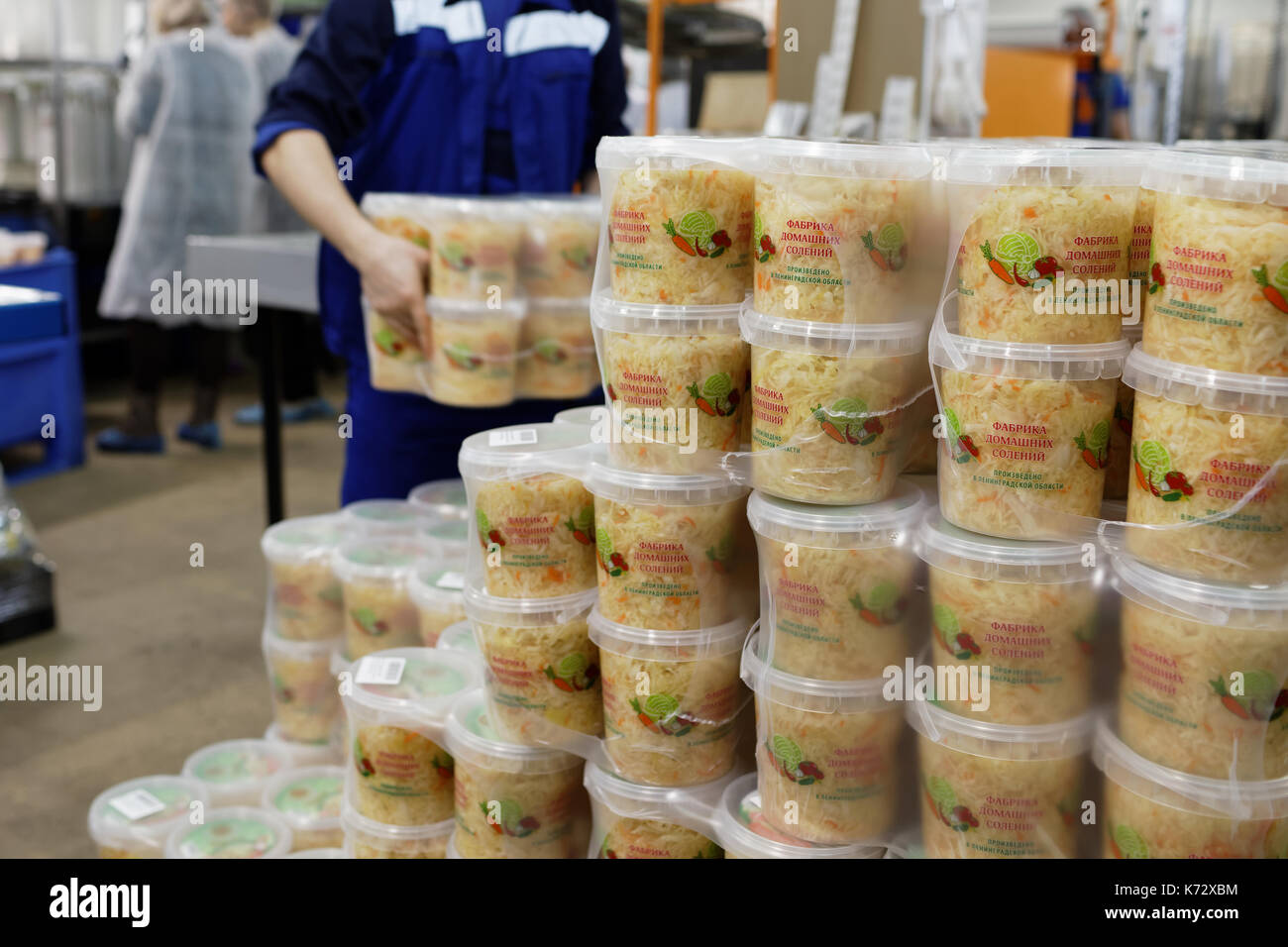 San Pietroburgo, Russia - 28 Febbraio 2017: i lavoratori di impilare i contenitori con Cavolo sott'aceto in uno stabilimento di trasformazione alimentare. La fabbrica di Pickl fatti in casa Foto Stock