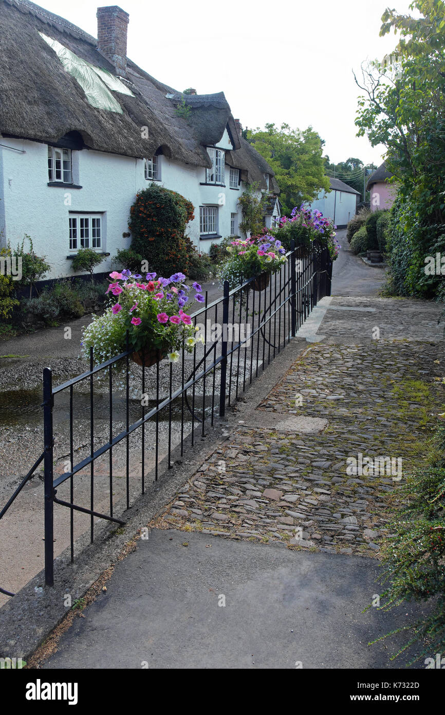 Passerella Pedonale oltre un flusso sul bordo di un villaggio di devon Foto Stock
