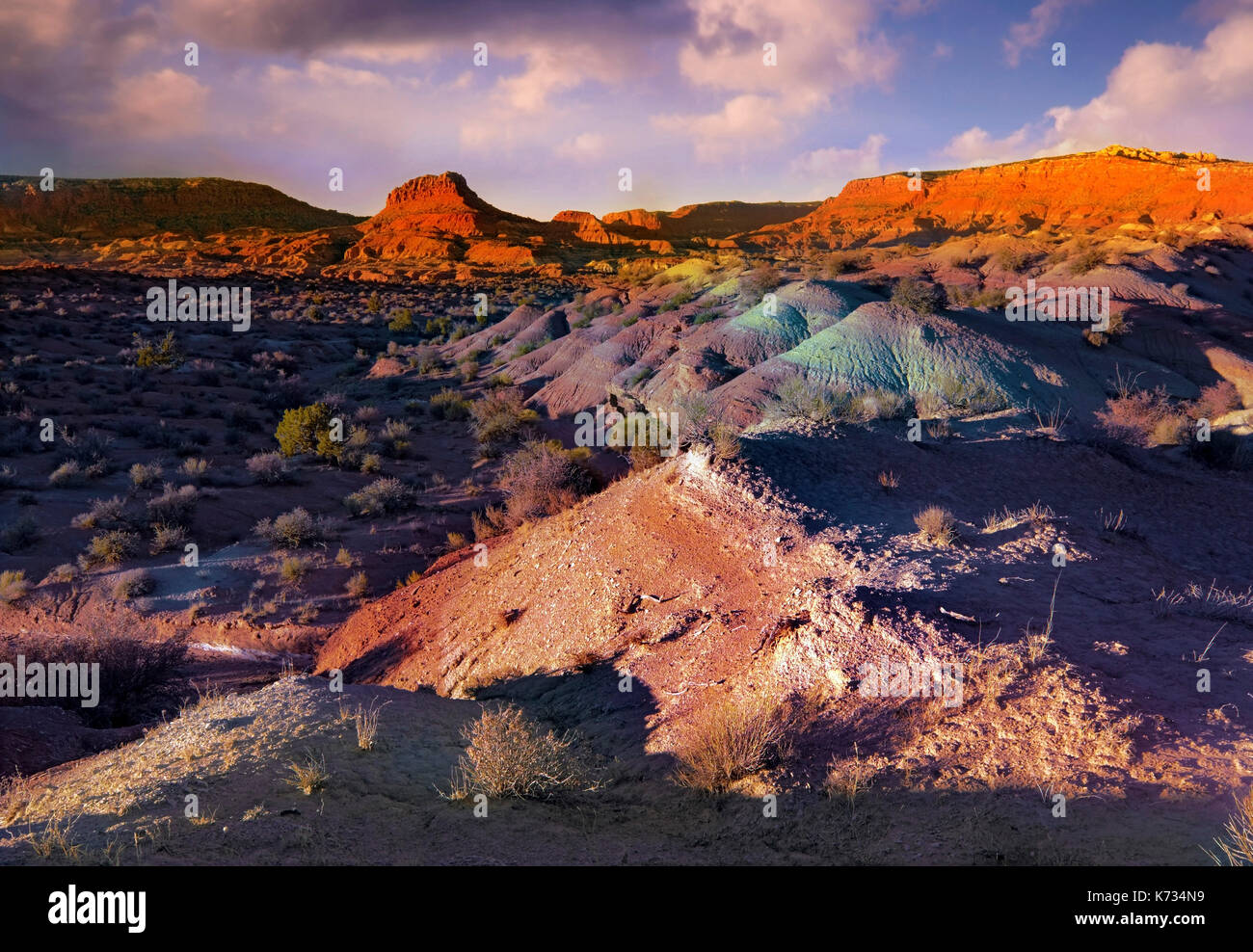 Una serata vista del paesaggio colorato del paria canyon-vermiglio cliffs wilderness, Arizona, Stati Uniti d'America Foto Stock