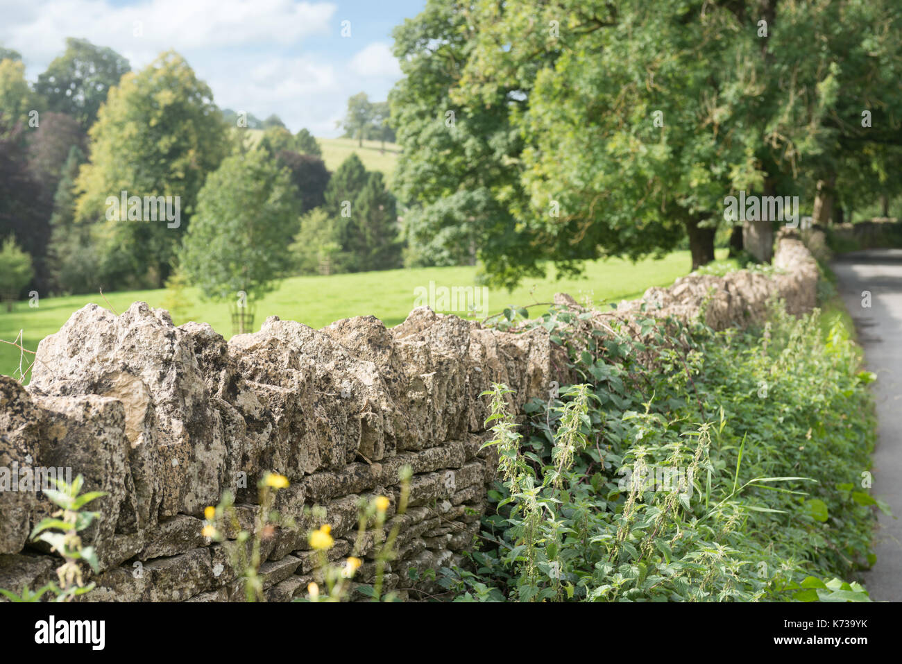 Una vista di un tradizionale cotswold in pietra a secco parete delimitante un campo nel cuore del Gloucestershire, UK. su una soleggiata giornata d'estate. Foto Stock
