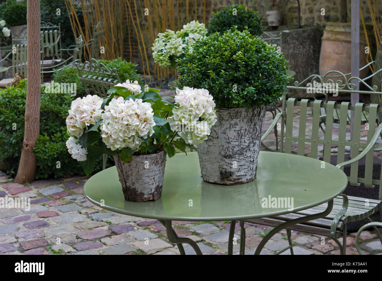 Vasi di ortensie in un giardino in Francia Foto Stock