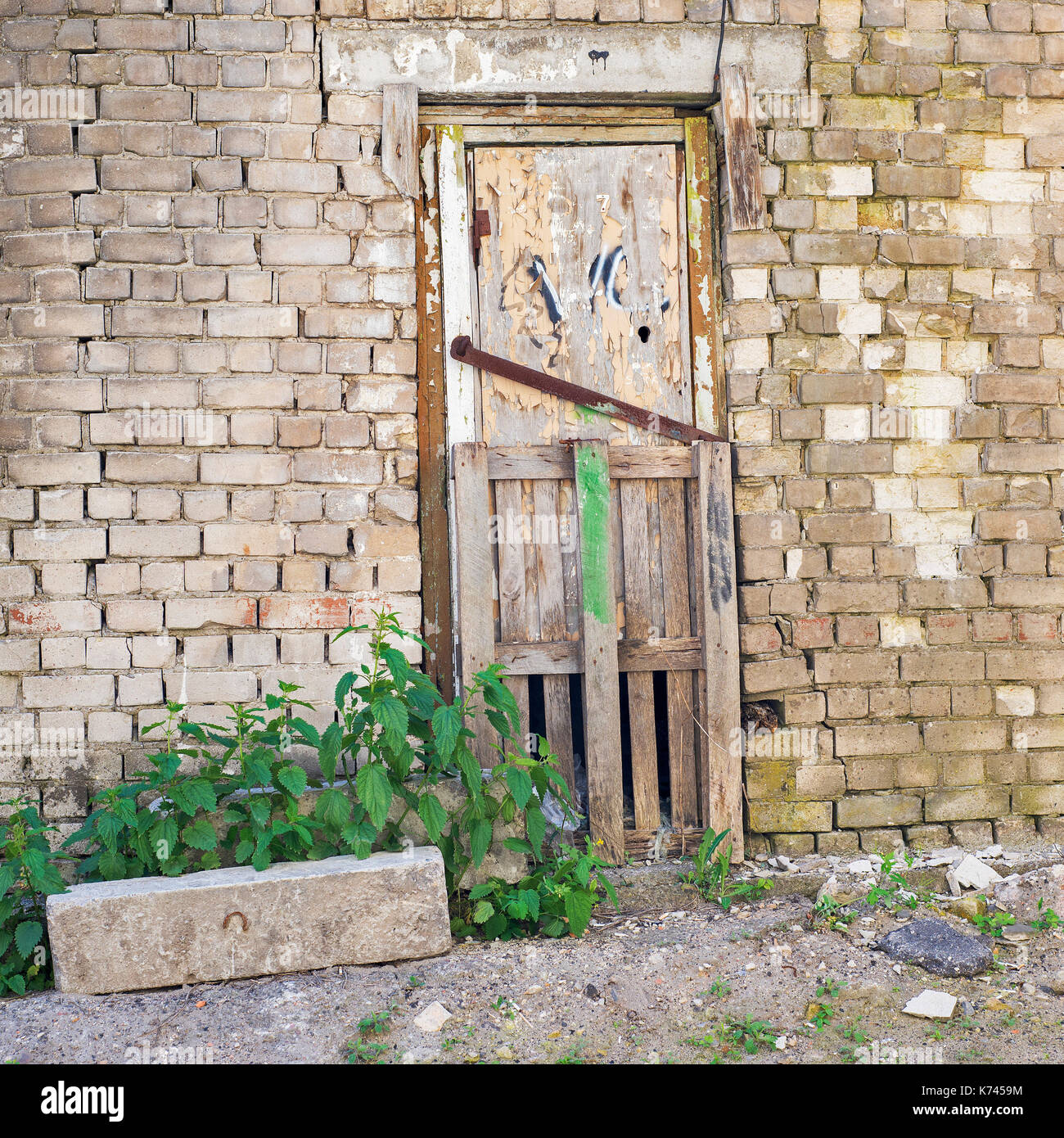 Grunge porta di legno, incrinato muro di mattoni in background Foto Stock