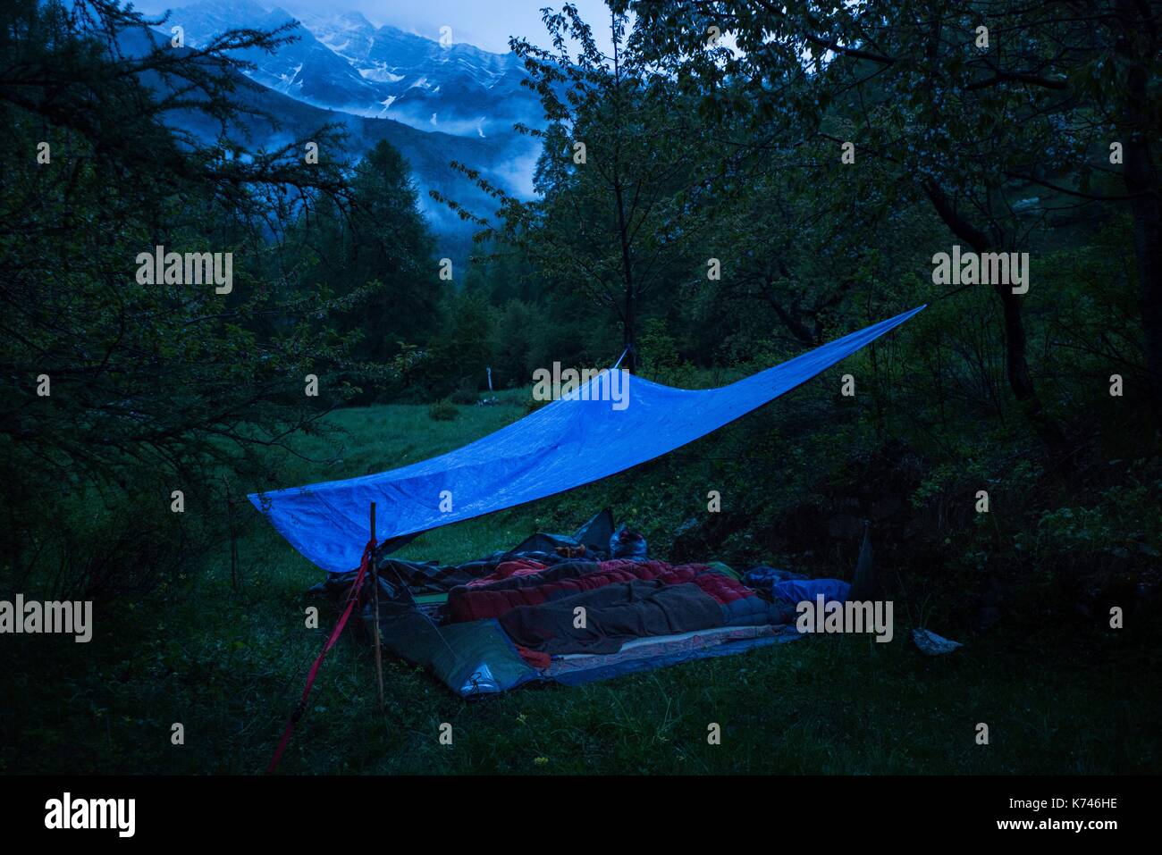 Francia Hautes Alpes, Reallon, parco nazionale degli Ecrins, valle della Durance, la transumanza a piedi. Dopo una notte di bivacco sotto la pioggia Foto Stock