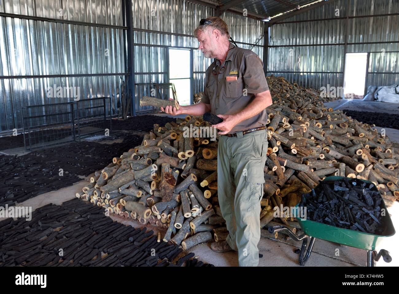 La Namibia, Otjiwarongo, Cheetah Conservation Fund, centro di ricerca e formazione, CCF BUSH Pty Ltd produce Legname Bricchetti di carburante come un progetto pilota per esplorare una strategia per migliorare l'habitat per cheetah mediante rimozione della boccola ispessita, Bruce Brewer PhD. General Manager e gestisce anche il CCF Bushblok progetto Foto Stock