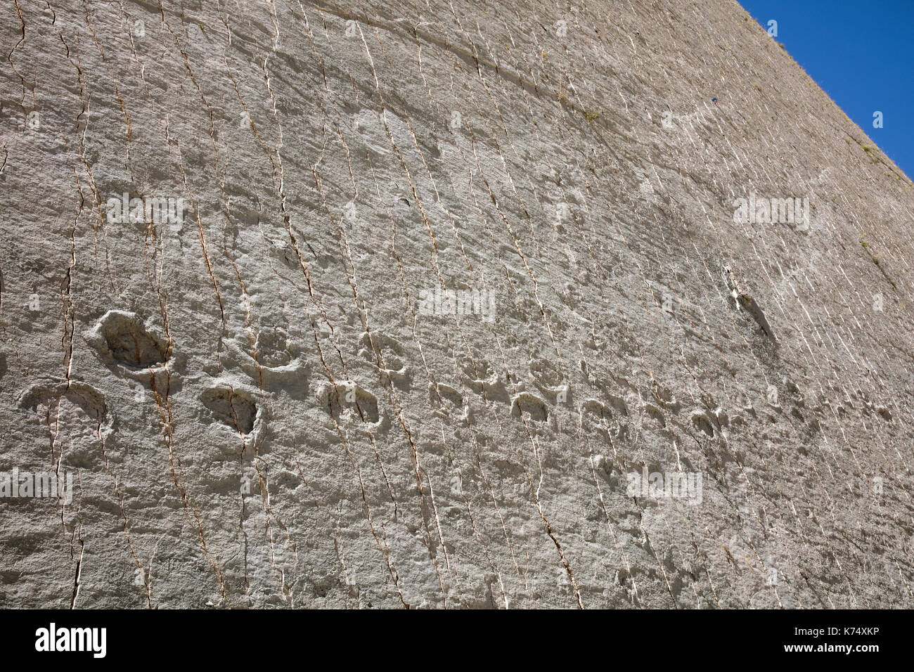 Impronte di dinosauro dal tardo Cretaceo / Maastrichtiano nella scogliera di Cal Orck’o nel Parque Cretácico / Cretaceo Park, Sucre, Bolivia Foto Stock