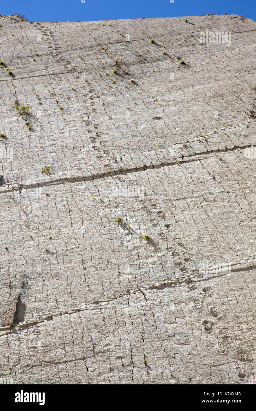 Impronte di dinosauro dal tardo Cretaceo / Maastrichtiano nella scogliera di Cal Orck’o nel Parque Cretácico / Cretaceo Park, Sucre, Bolivia Foto Stock