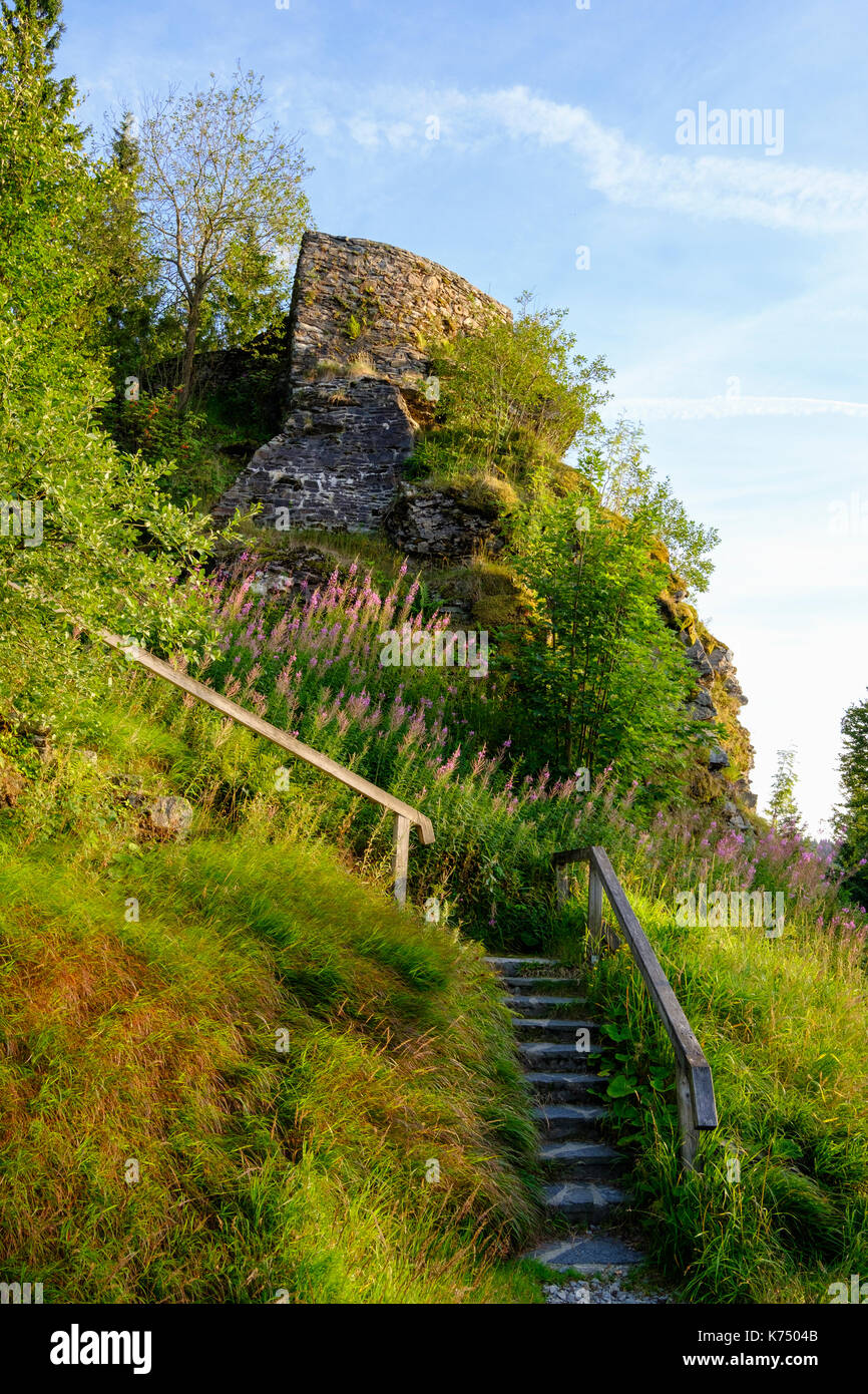 Hindenburgkanzel, punto di vista, vicino a lohberg, foresta bavarese, Alto Palatinato, Baviera, Germania Foto Stock