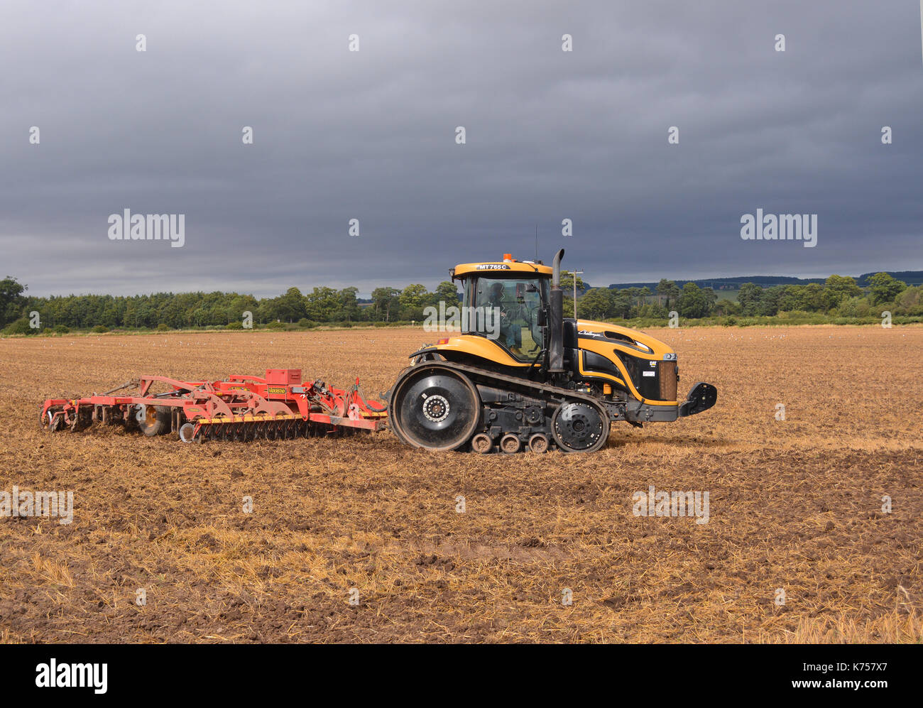 Cat trattore Challenger Foto Stock