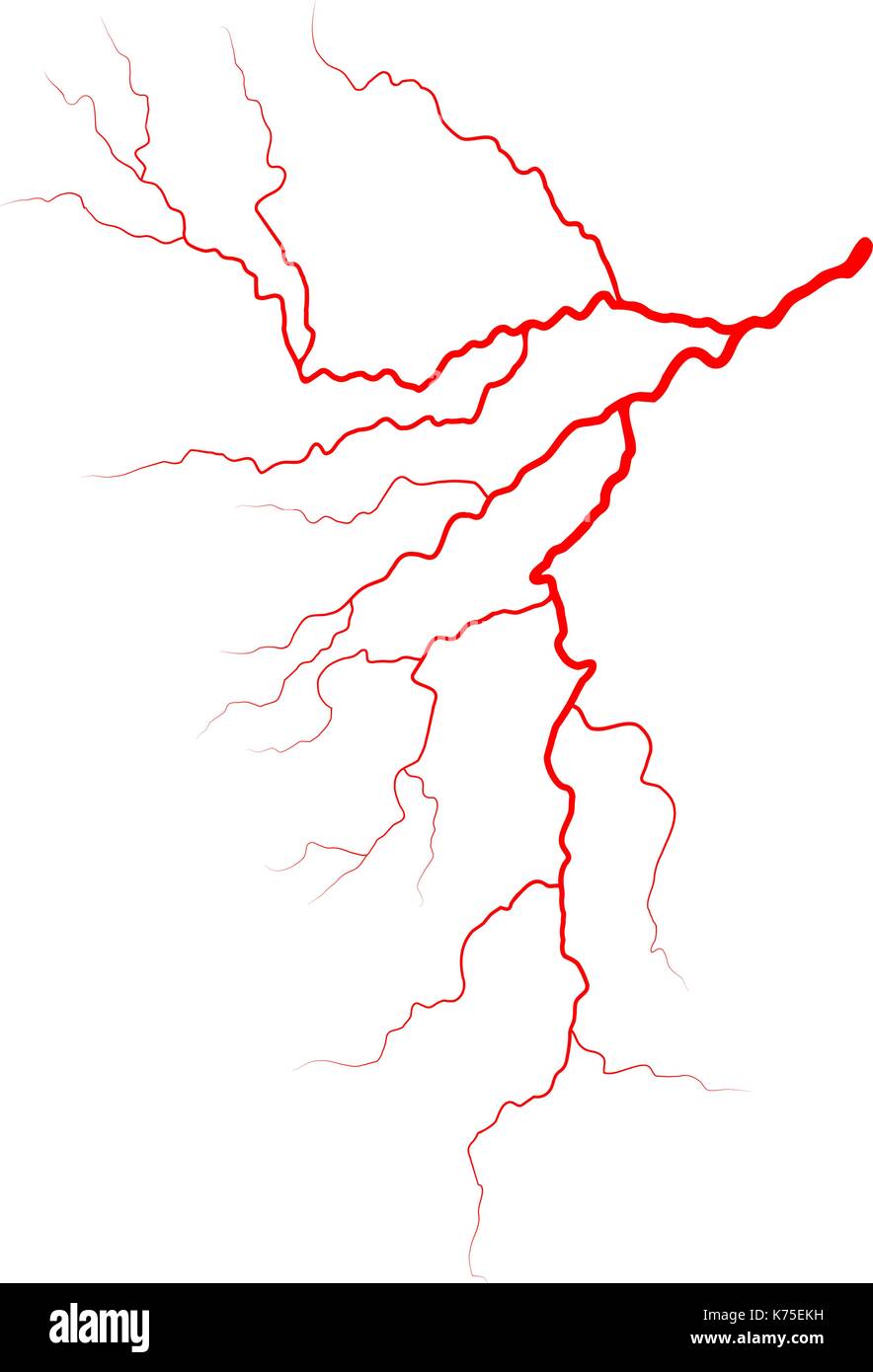 Il sangue venoso sistema vettore icona simbolo design. bella illustrazione isolati su sfondo bianco Illustrazione Vettoriale