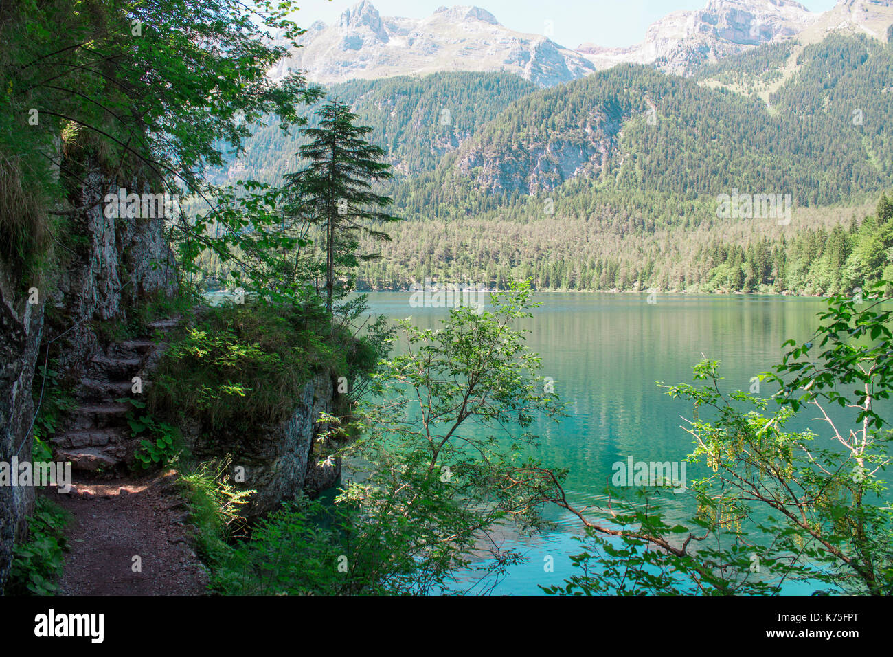 L'Italia, Trentino Alto Adige ,riflessione nel lago di Tovel. Foto Stock