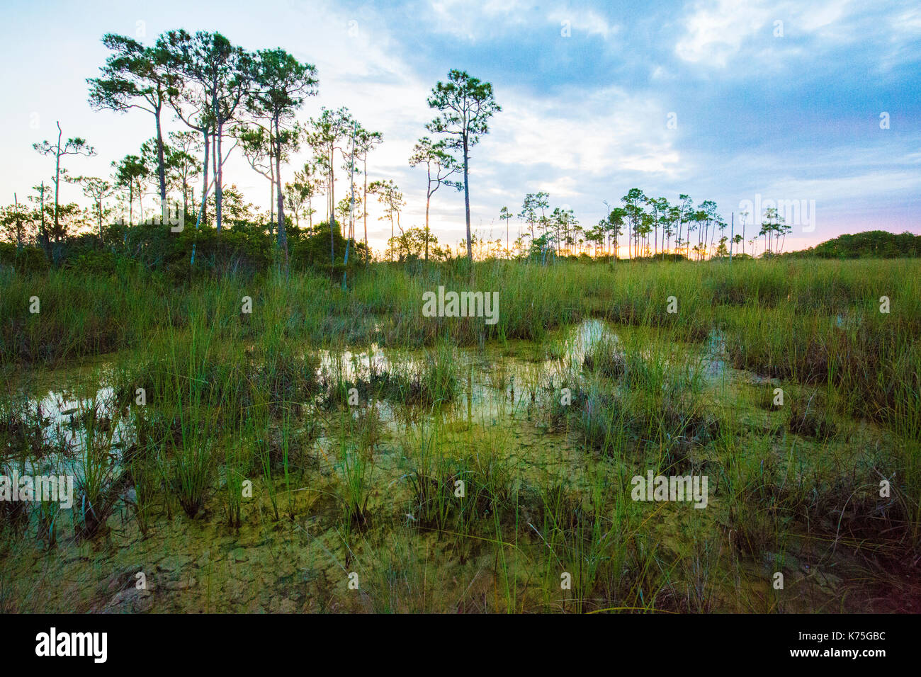 Tramonto everglades national park Lake riflessioni Foto Stock