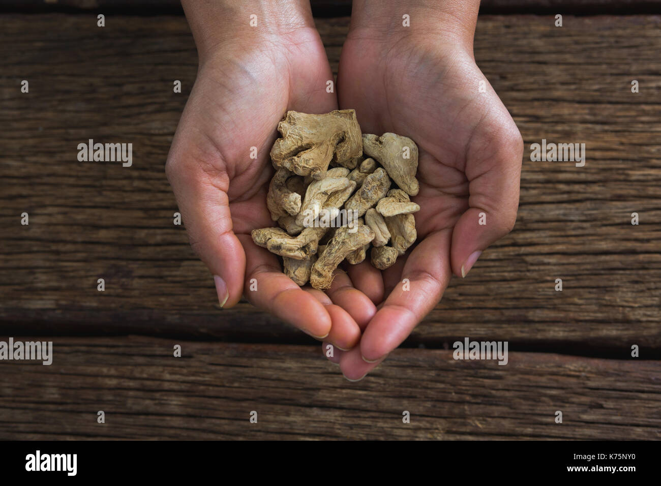 Close-up di handsholding essiccato zenzero contro il tavolo di legno Foto Stock