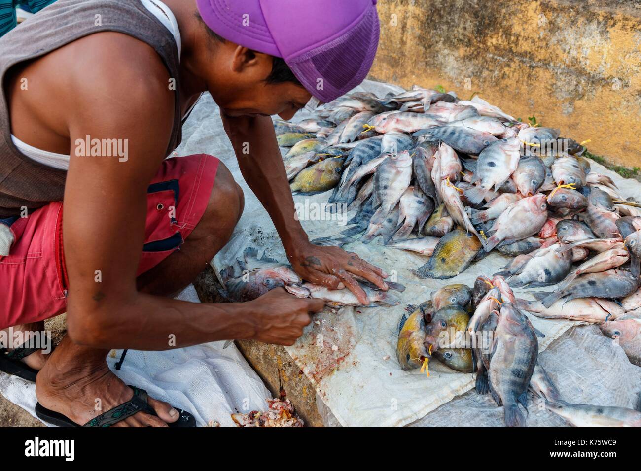 Nicaragua, Rio San Juan provincia, San Carlos, pescatore e pesci Foto Stock