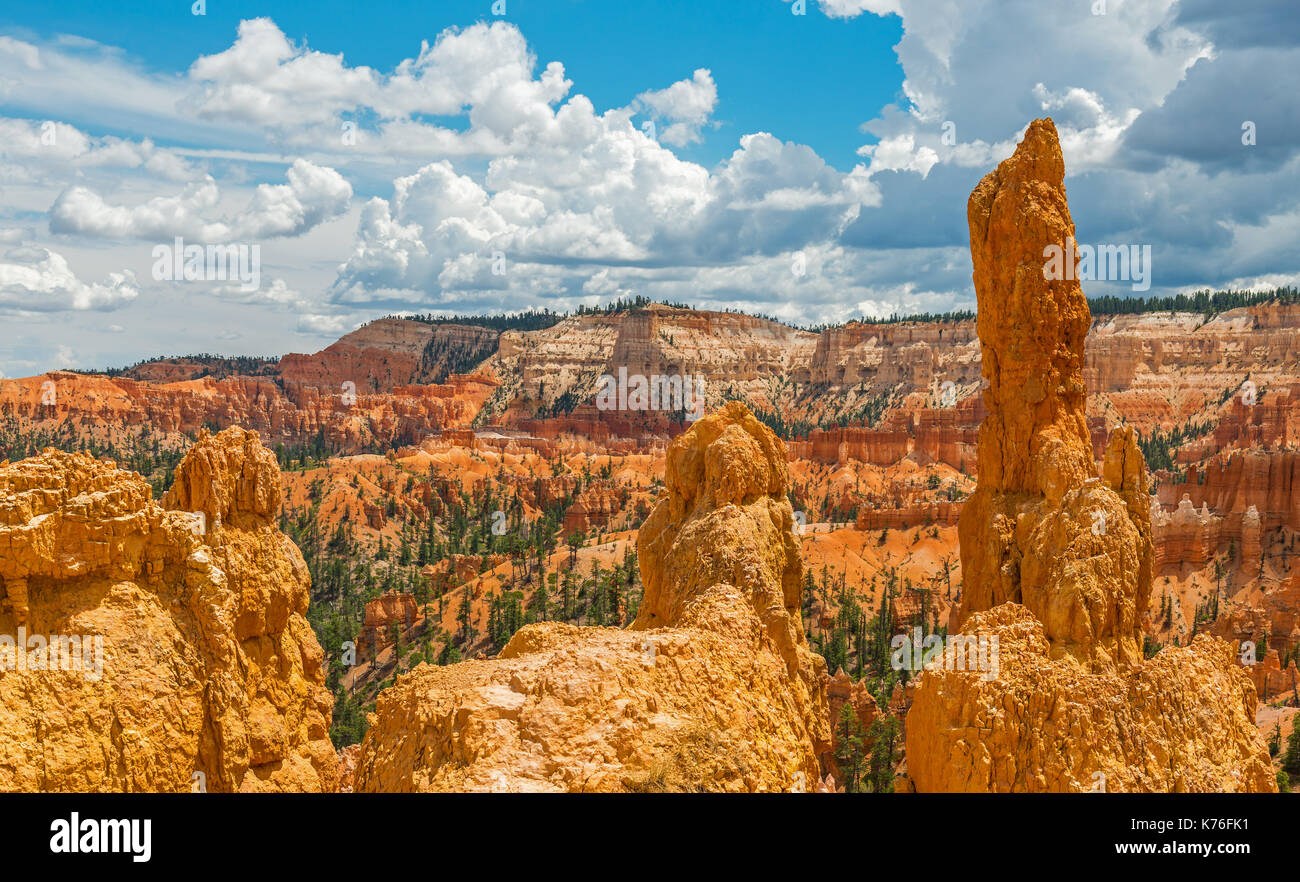 Alta risoluzione panorama di hoodoo e finestra di roccia arenaria formazioni nel Parco Nazionale di Bryce Canyon, Utah, Stati Uniti d'America. Foto Stock