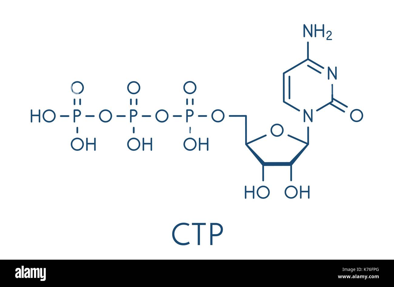 Citidina trifosfato (CTP) rna building block molecola. funziona anche come cofattore di alcuni enzimi. formula scheletrico. Illustrazione Vettoriale