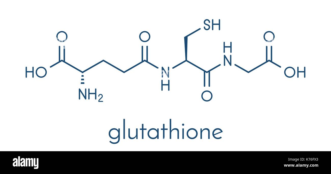 Il glutatione (glutatione ridotto, GSH) antiossidante endogeno molecola di  formula scheletrico Immagine e Vettoriale - Alamy