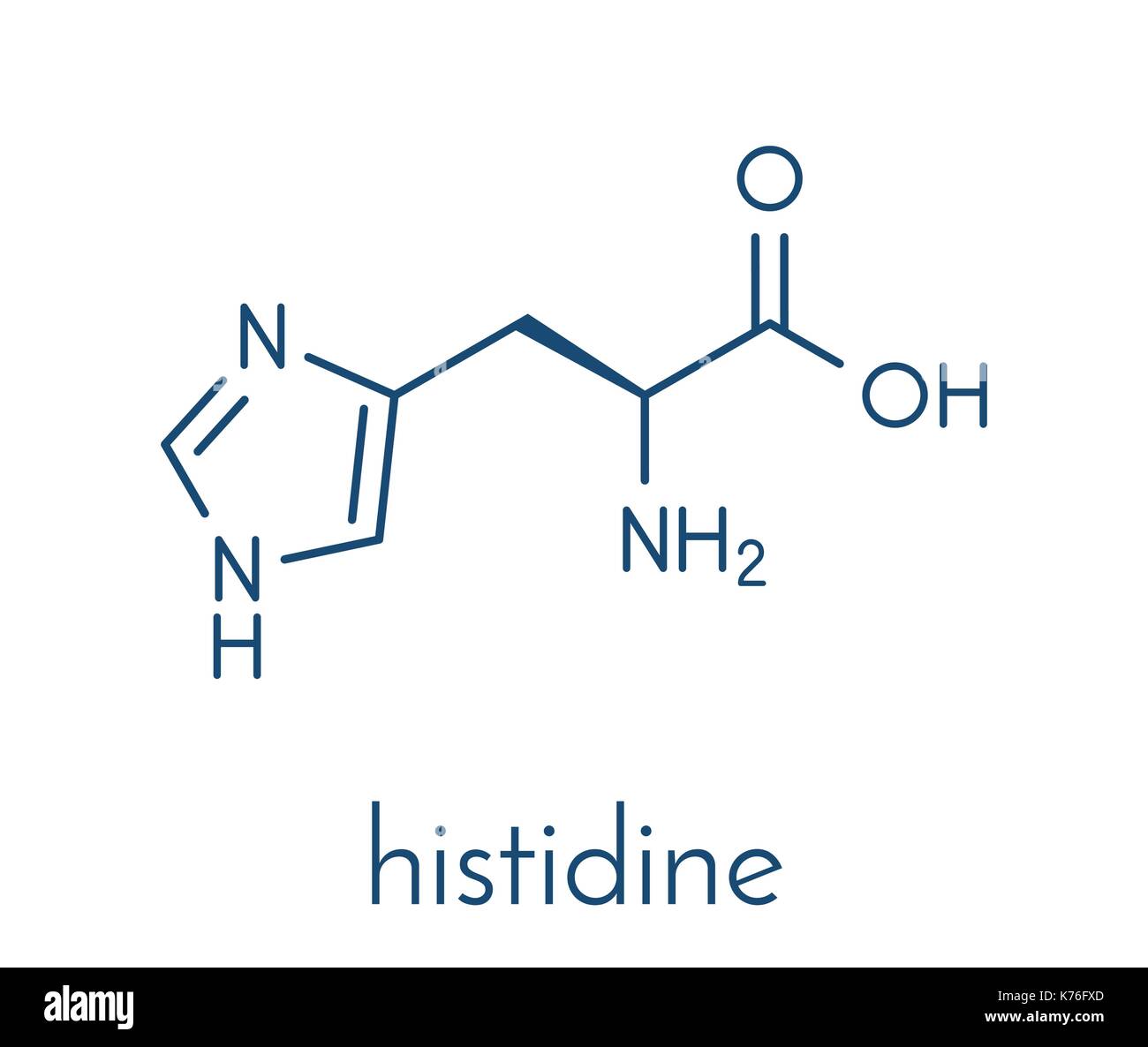 Istidina (L-istidina, sua, h) aminoacido molecola di formula scheletrico. Illustrazione Vettoriale