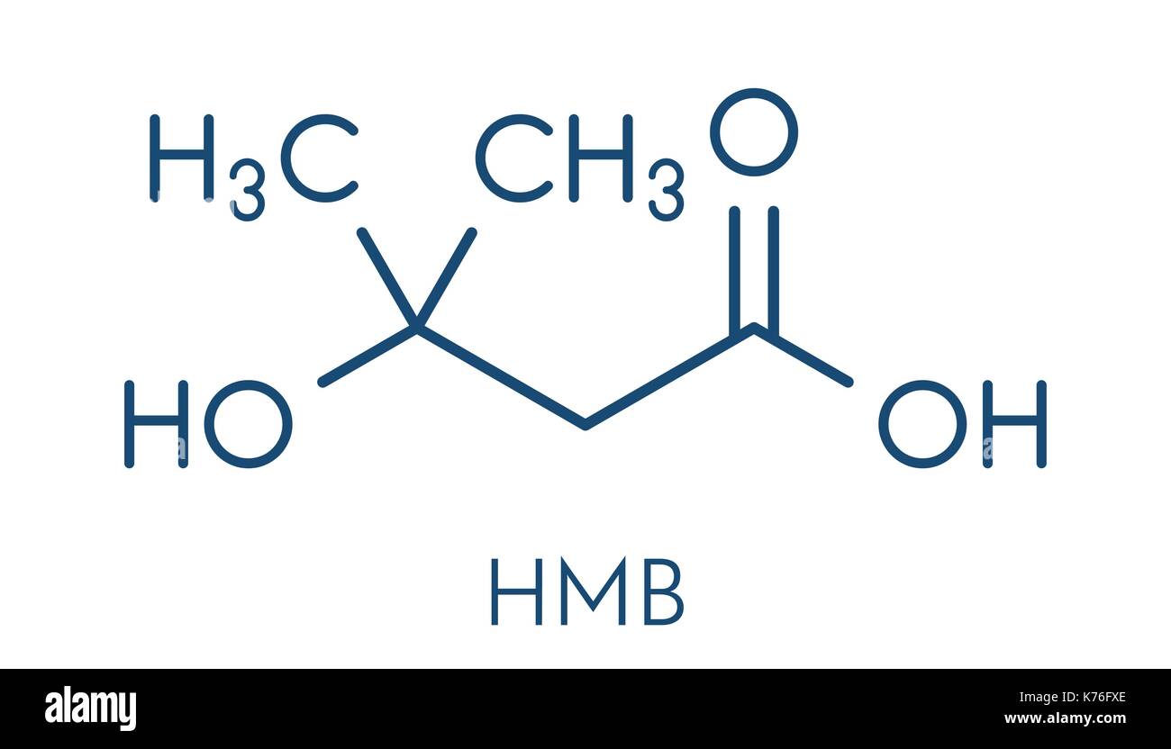 Beta-idrossi beta-metilbutirrico acido (hmb) leucina molecola di metaboliti. utilizzati come supplemento, può aumentare la forza e massa muscolare. formula scheletrico. Illustrazione Vettoriale