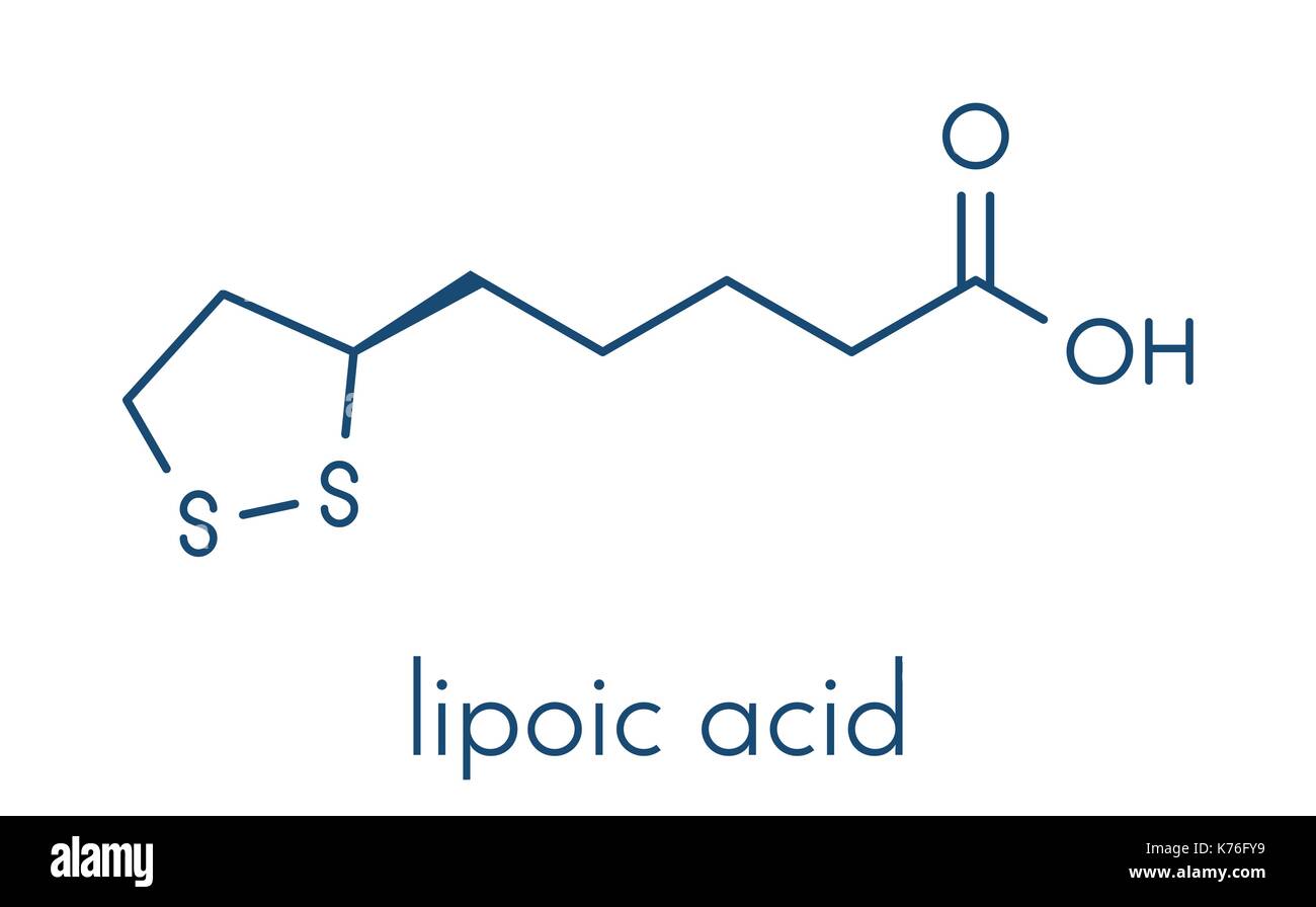 Acido lipoico cofattore enzimatico molecola. presente in molti integratori nutrizionali. ritiene di avere anti-ossidante e anti-invecchiamento e la perdita di peso effetti. skel Illustrazione Vettoriale