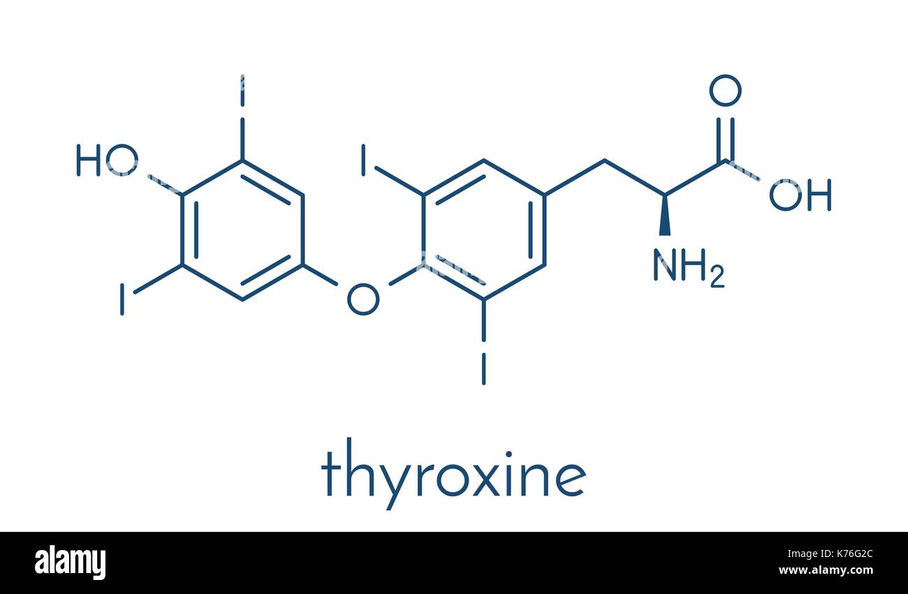 Tiroxina (t4, la levotirossina) di ormone tiroideo molecola. proormone di thyronine (t3). utilizzato come farmaco per il trattamento di ipotiroidismo. formula scheletrico. Illustrazione Vettoriale