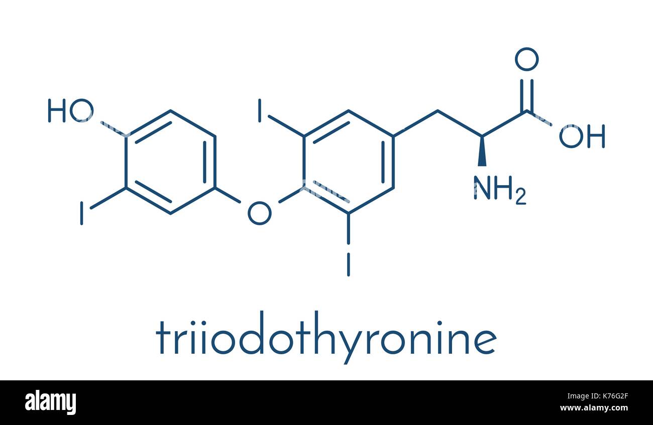 Triiodotironina (t3, liotironina) di ormone tiroideo molecola. ipofisi ormone. utilizzato anche come farmaco per il trattamento di ipotiroidismo. formula scheletrico. Illustrazione Vettoriale