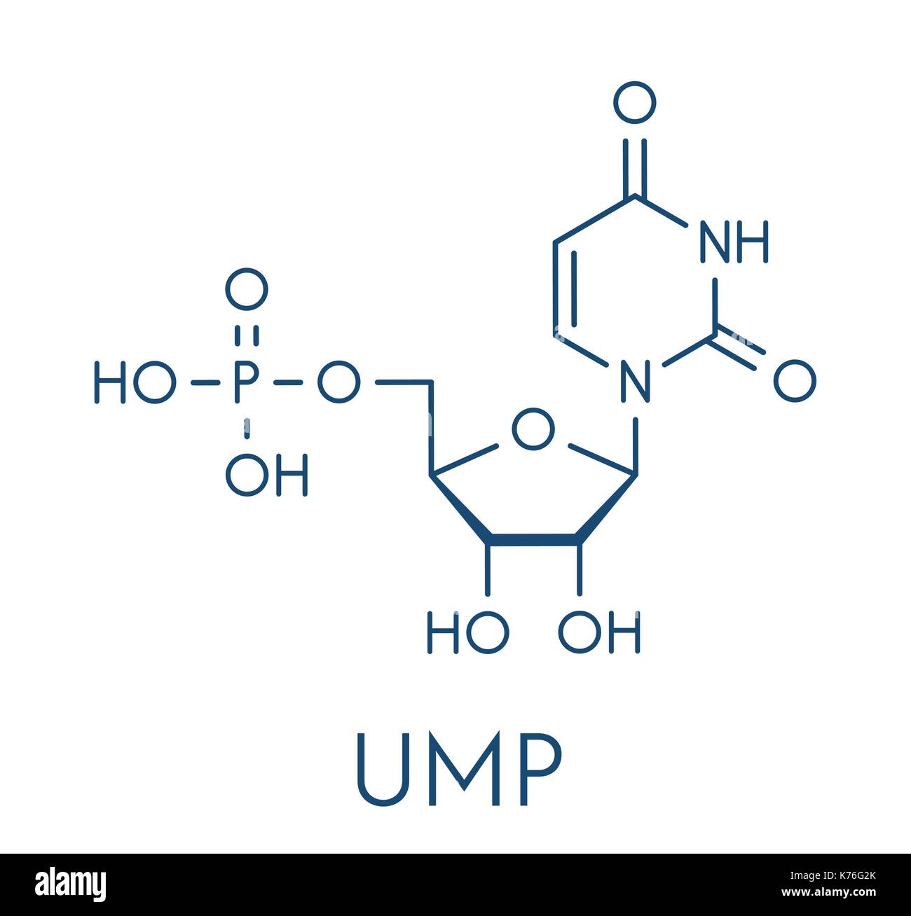 Uridina monofosfato (UMP, acido uridylic) Sequenza nucleotidica molecola. building block di RNA. formula scheletrico. Illustrazione Vettoriale