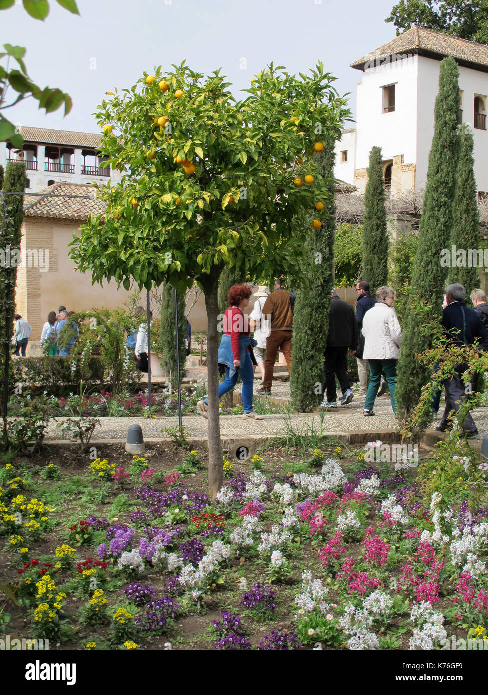 Alhambra Palace Gardens, Granada, Andalusia, Spagna, Europa Foto Stock